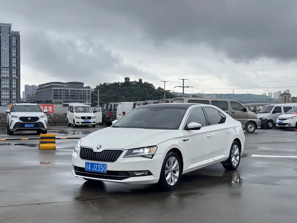 Skoda Speedy 2017