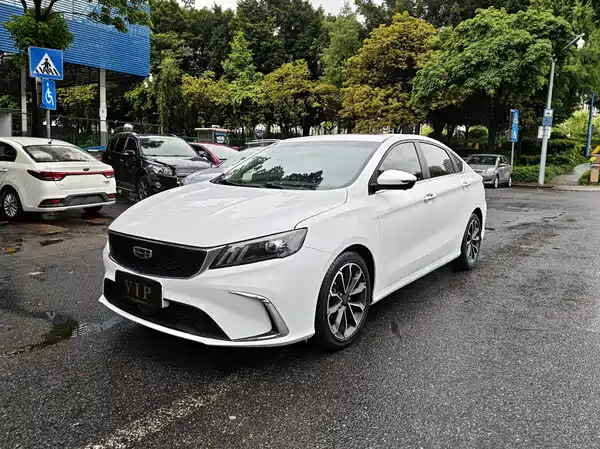 Geely Binrui 2024