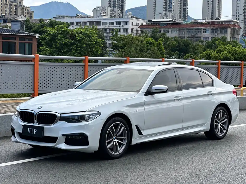 BMW 5 Series 2019
