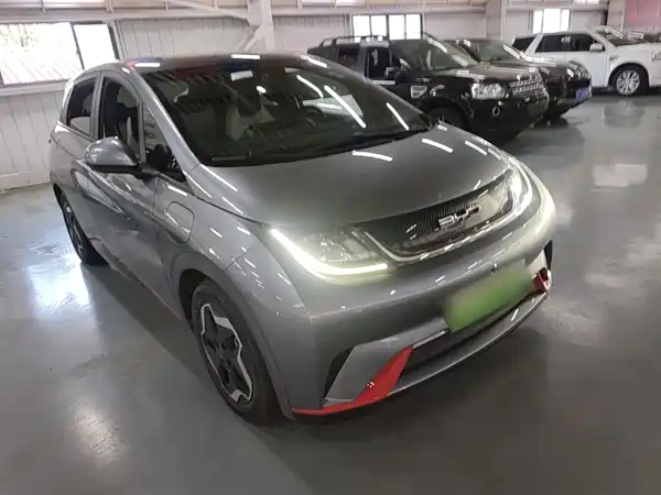 BYD Dolphin 2022
