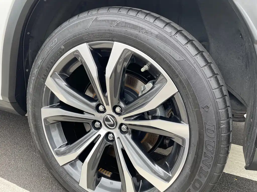 Lexus RX 2022 — фото 17