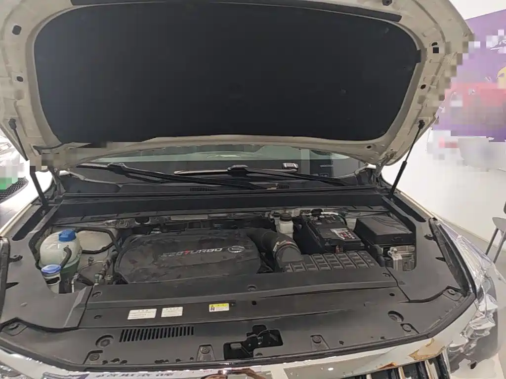 GAC Trumpchi GS8 2021 — фото 20