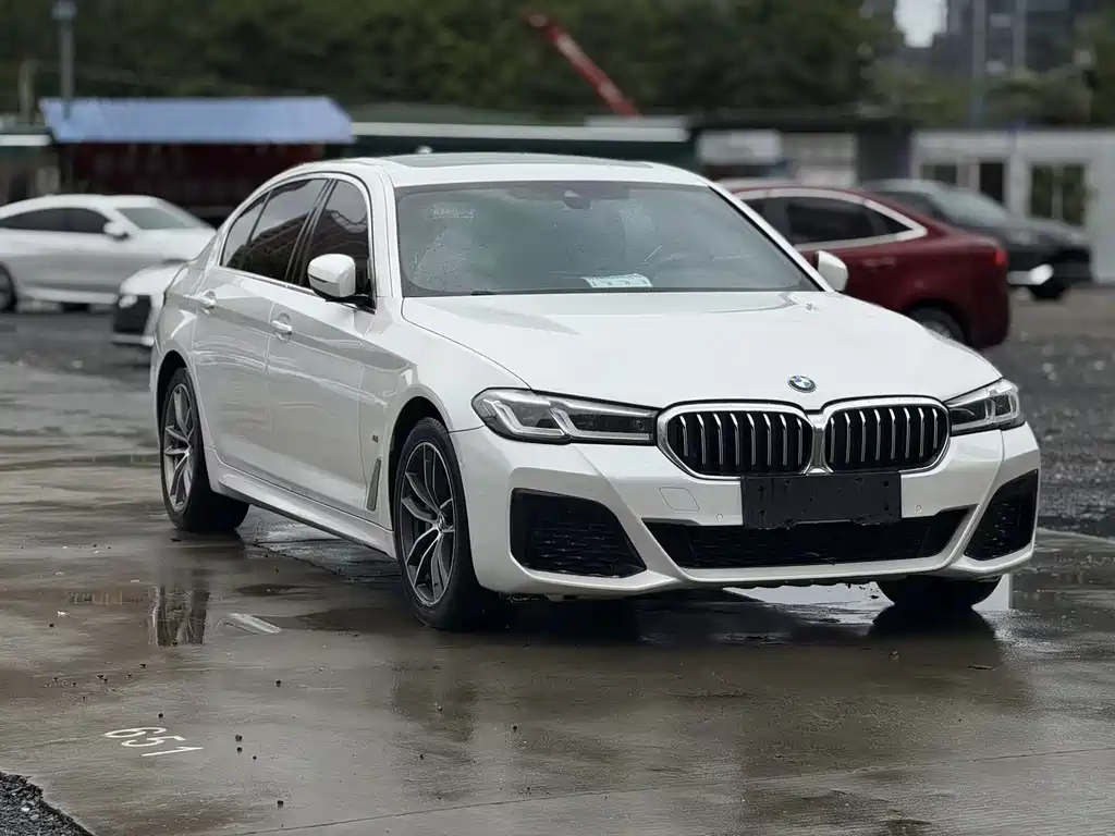BMW 5 Series New Energy 2020