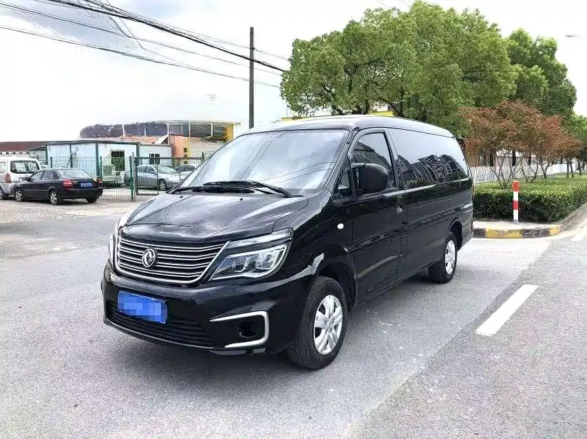 Fengxing Lingzhi 2020