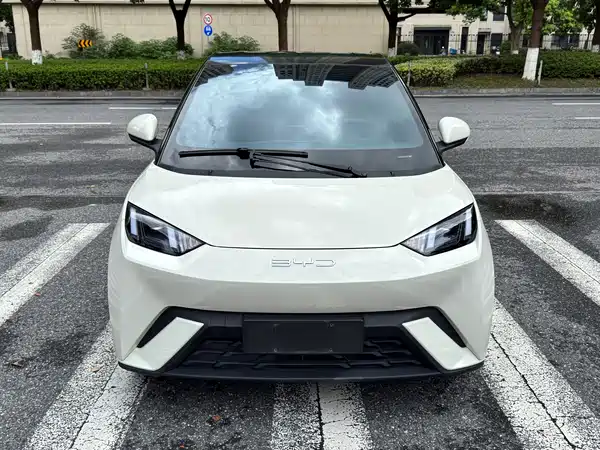 BYD Seagull 2024