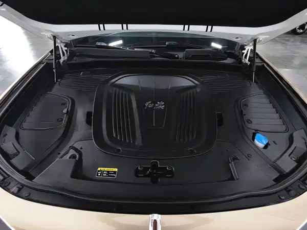 Hongqi E-HS9 2021