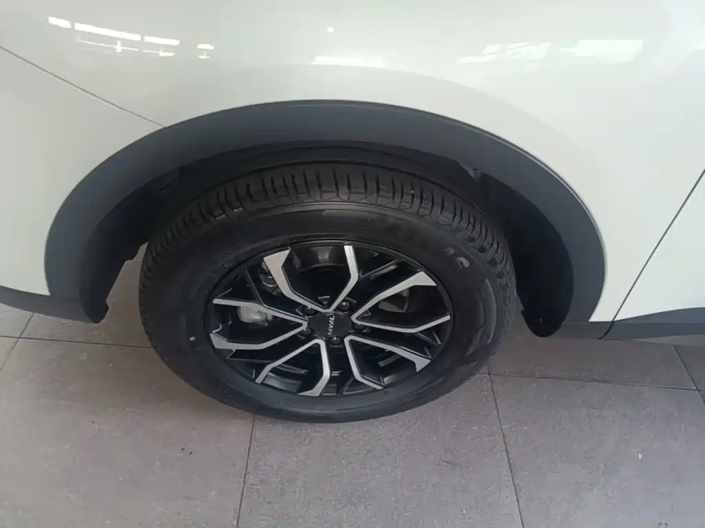 Haval H6 2023 — фото 23