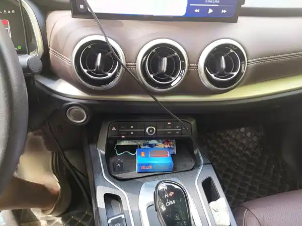 Wey VV6 2020