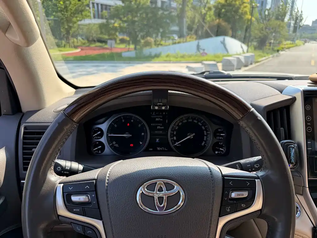Toyota Land Cruiser 2019 — фото 13