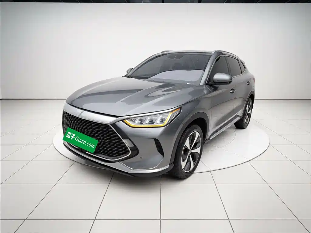 BYD PLUS New Energy 2022 — фото 1