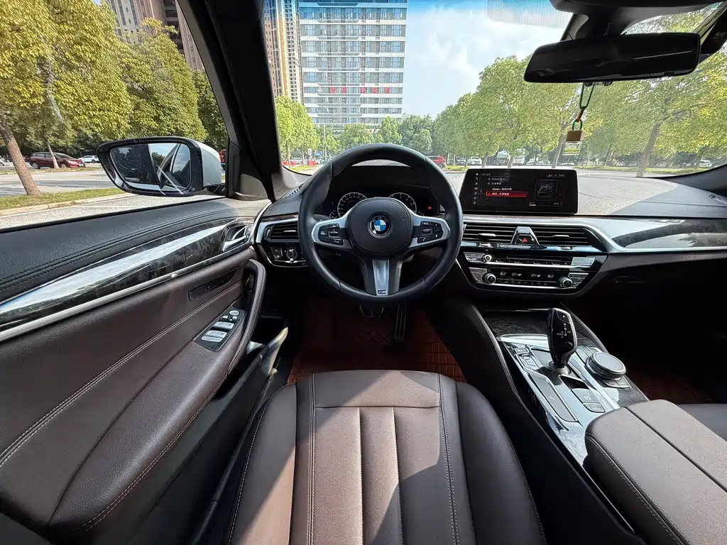 BMW 5 Series 2019 — фото 10
