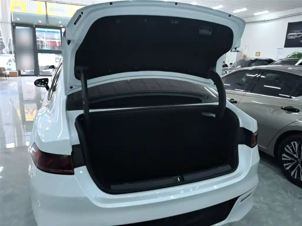 BYD Qin PLUS 2023 — фото 19