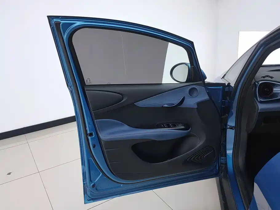BYD Dolphin 2022