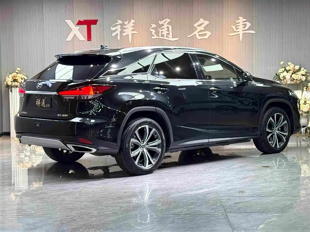 Lexus RX 2022 — фото 22