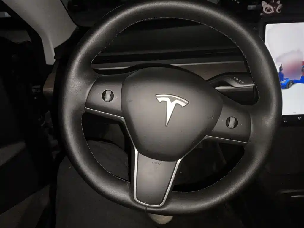 Tesla Model 3 2021 — фото 3