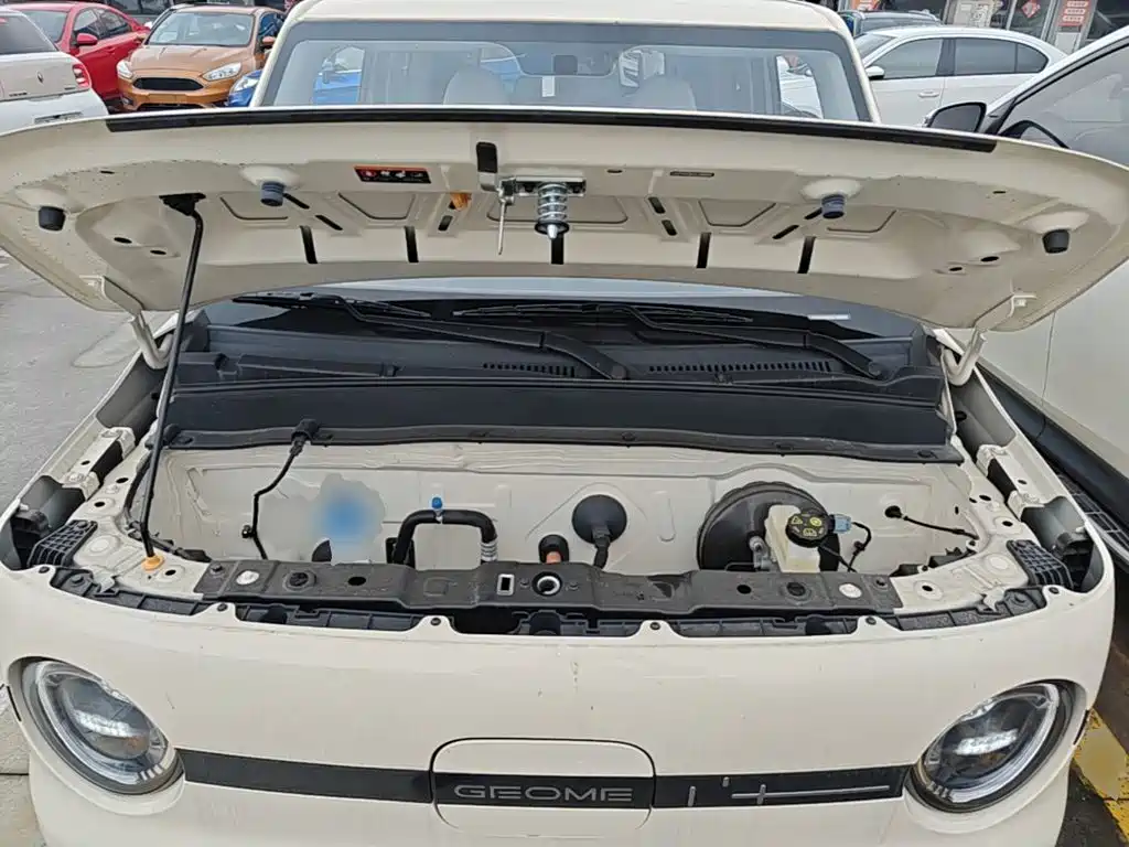 Geely Galaxy Panda 2025 — фото 20