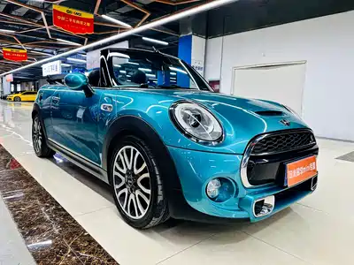 MINI MINI 2017