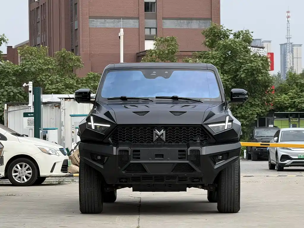 Mengshi 917 2024
