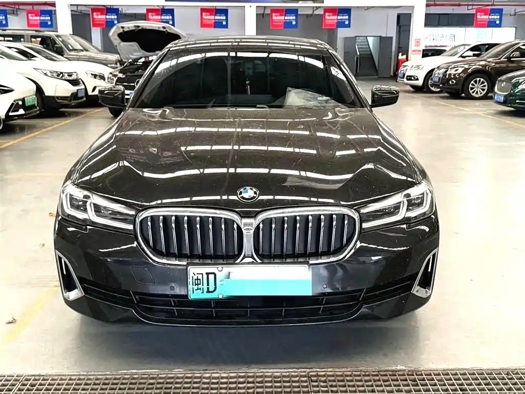BMW 5 Series New Energy 2020 — фото 2