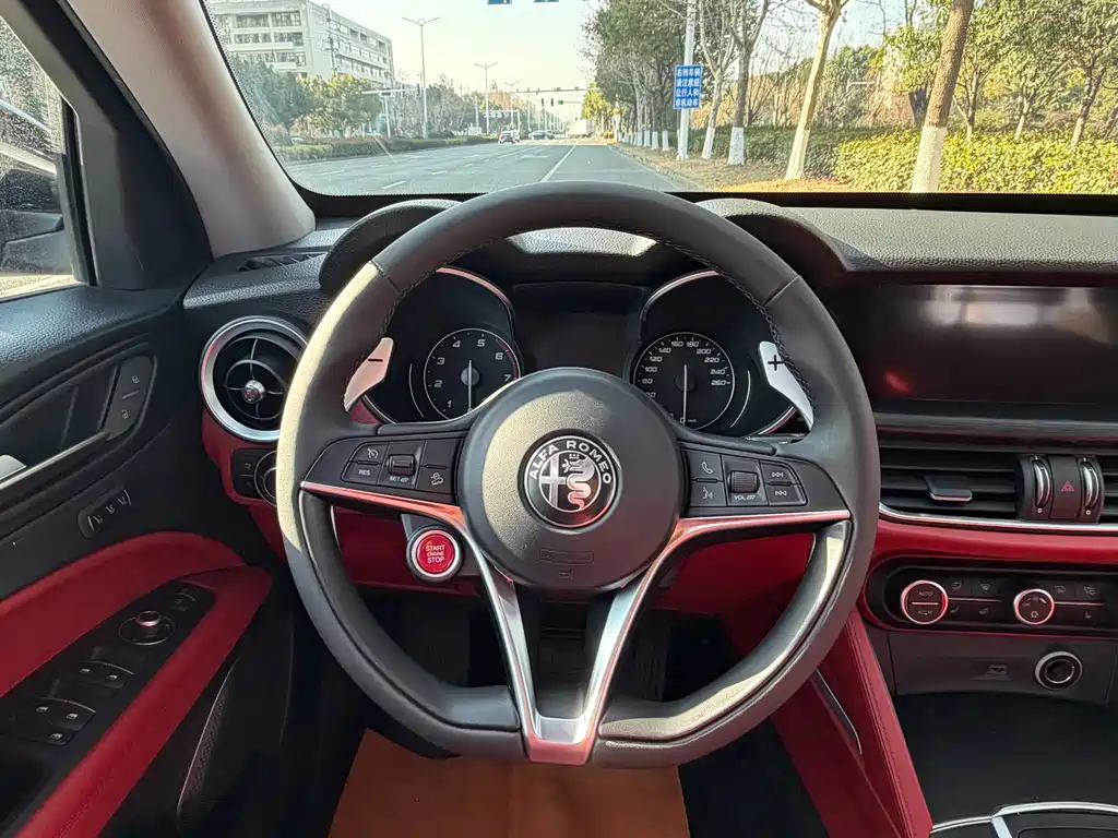 Alfa Romeo Stelvio 2019 — фото 14