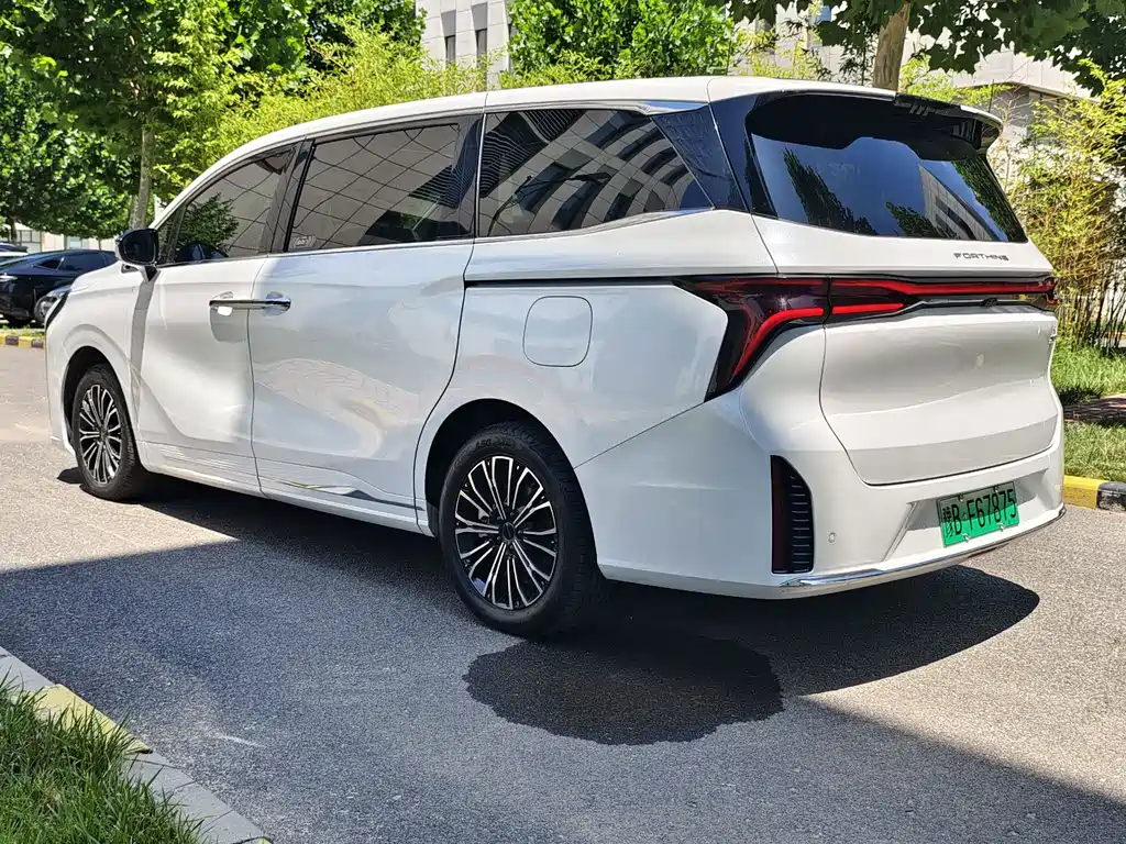 Dongfeng Forthing Xinghai V9 2024 — фото 24