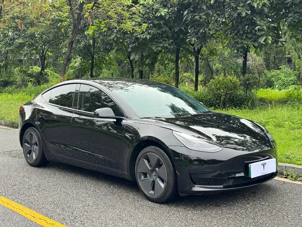 Tesla Model 3 2023 — фото 3