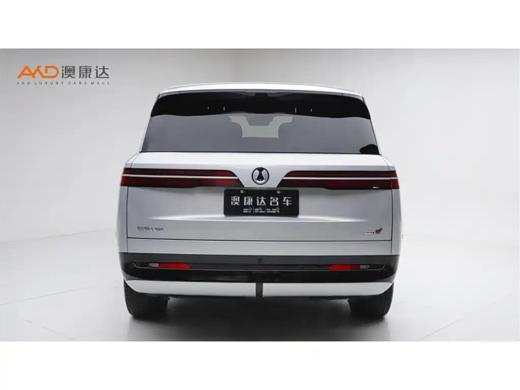 Denza N9 2025