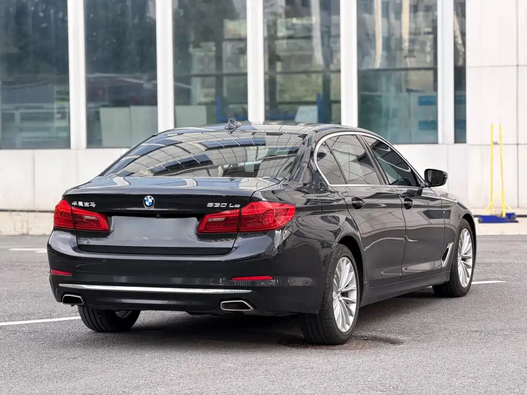 BMW 5 Series New Energy 2020 — фото 9
