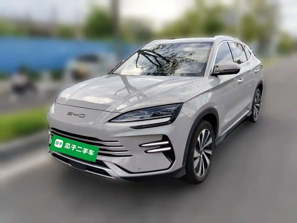 BYD Song PLUS New Energy 2023 — фото 1