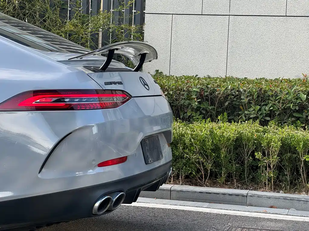 Mercedes-Benz AMG GT 2019 — фото 18