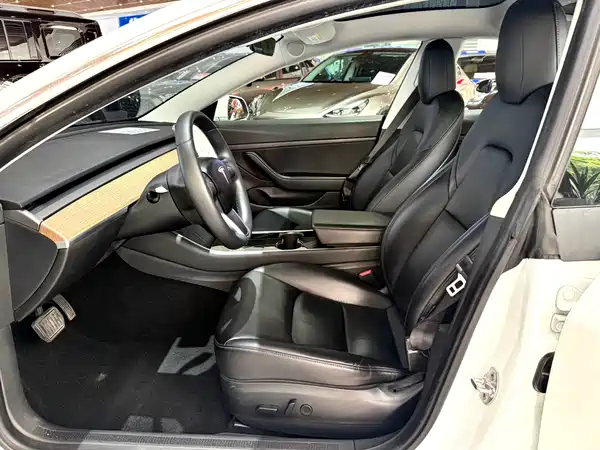 Tesla Model 3 2019