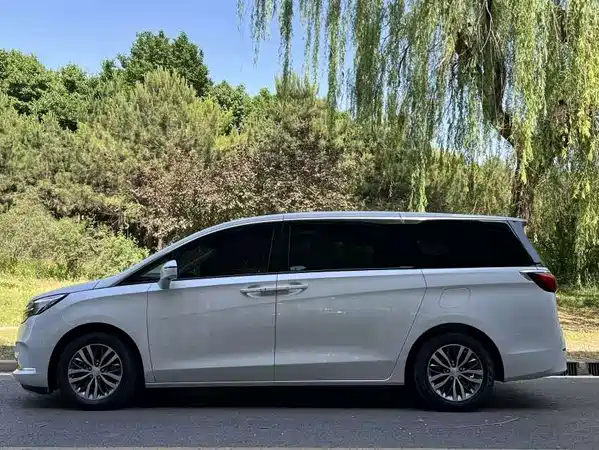 Buick GL8 2020
