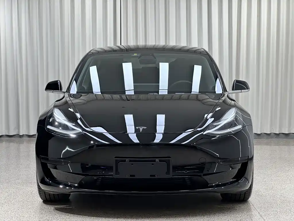 Tesla Model 3 2020 — фото 2