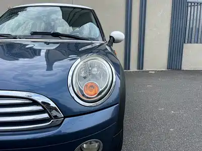 MINI MINI 2010