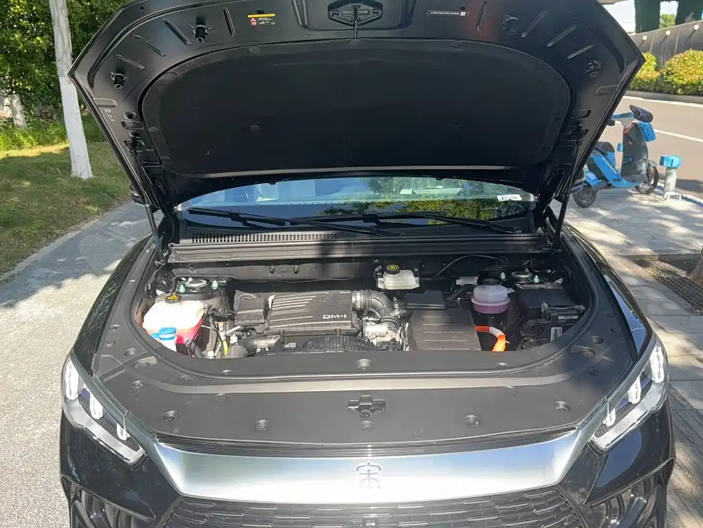 BYD Song Pro New Energy 2024 — фото 16