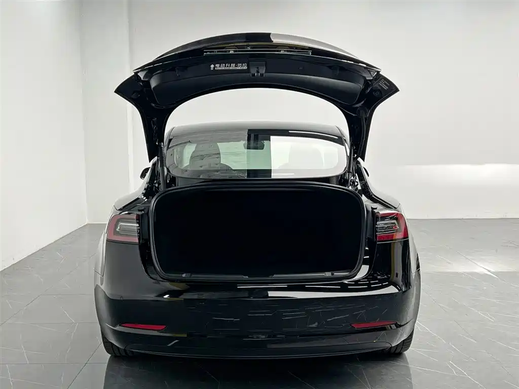Tesla Model 3 2021 — фото 12