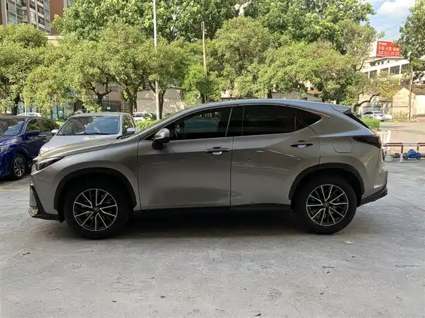 Lexus NX 2024
