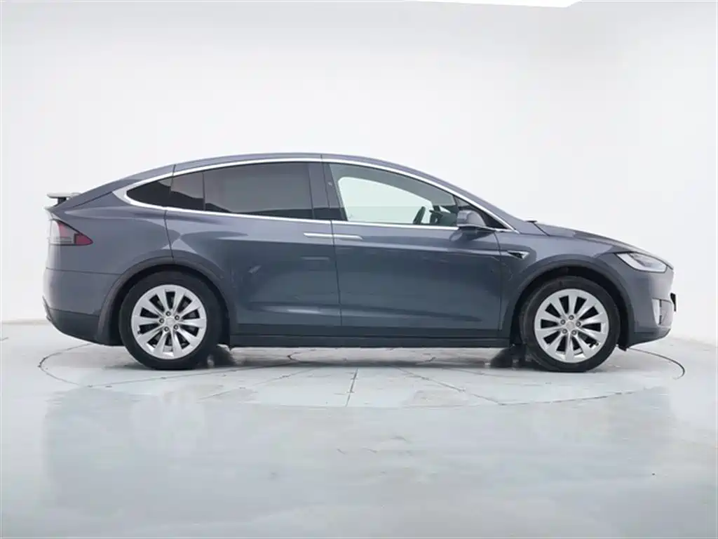 Tesla Model X 2020 — фото 9