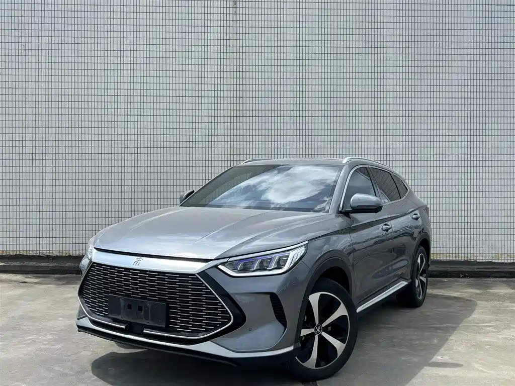 BYD PLUS New Energy 2021 — фото 1