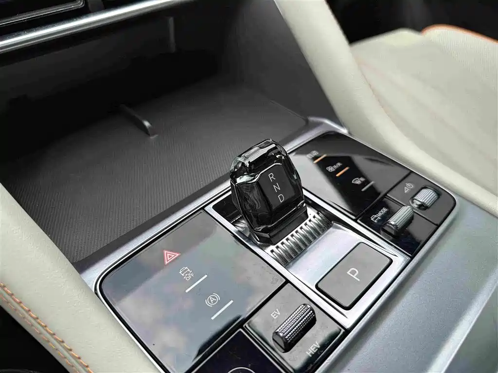 BYD PLUS New Energy 2023 — фото 14