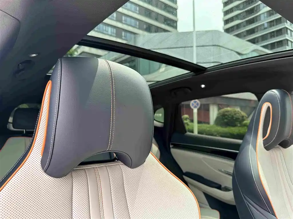 BYD PLUS New Energy 2023 — фото 21