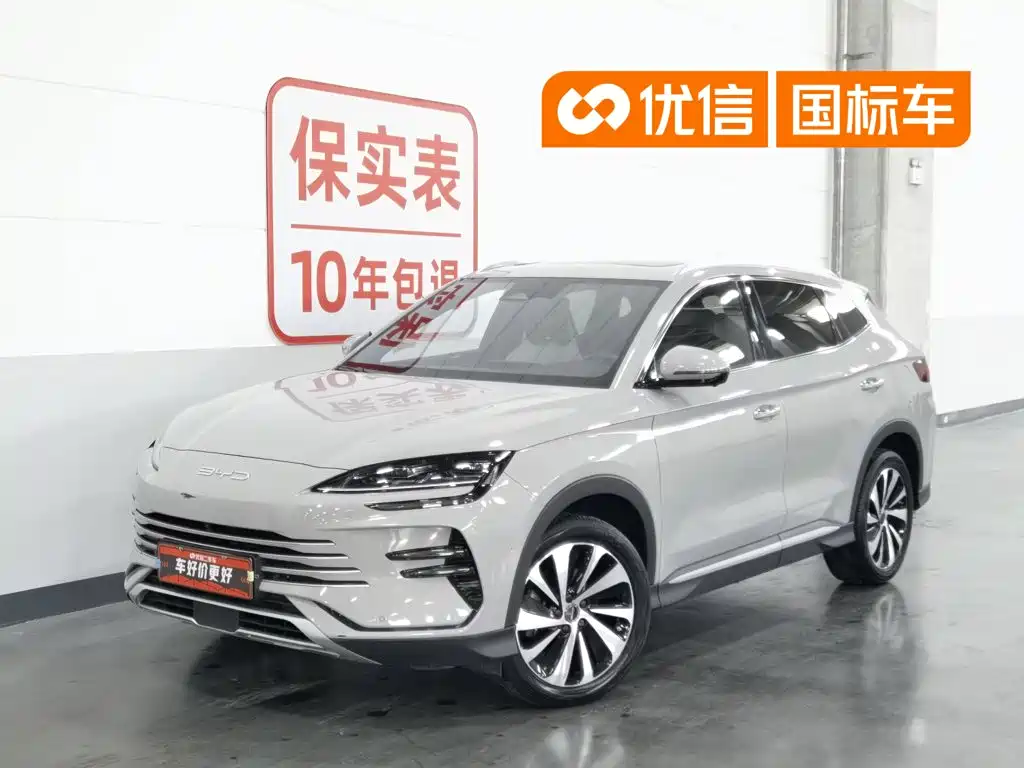 BYD Song PLUS New Energy 2024 — фото 1
