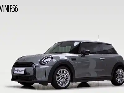 MINI MINI 2021