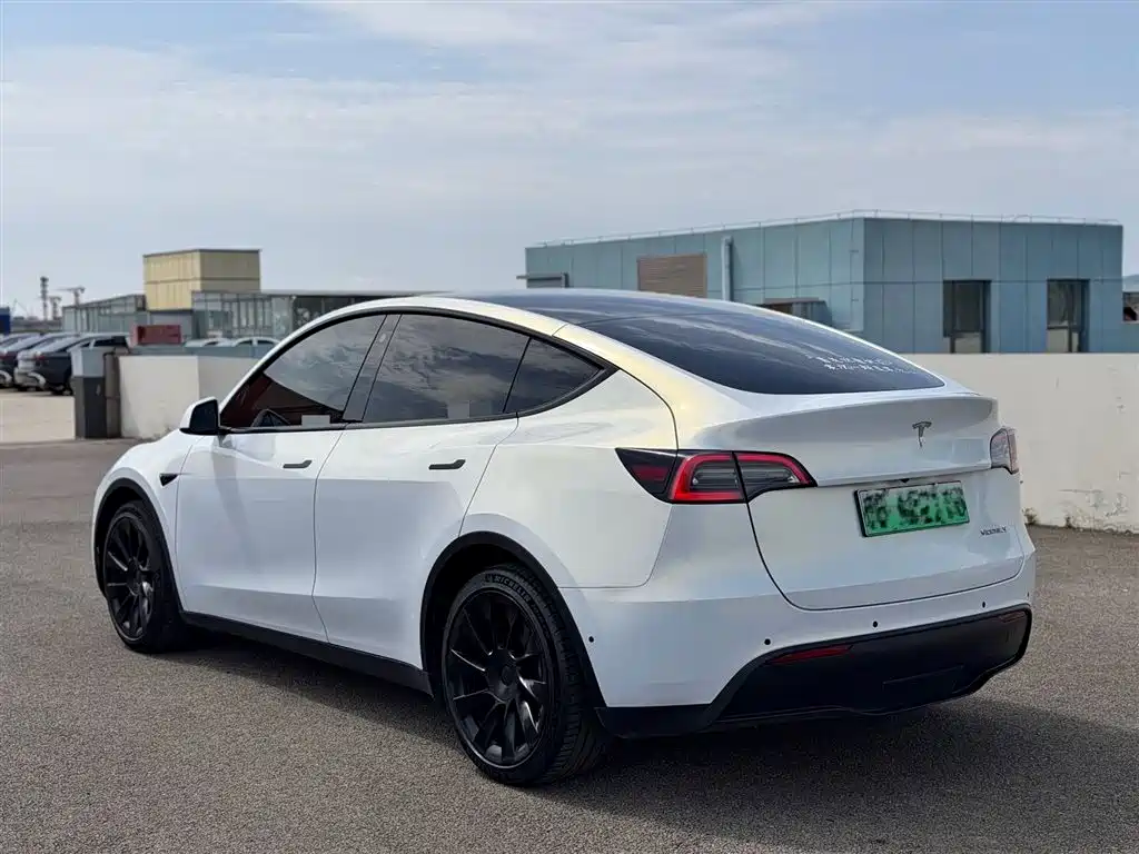 Tesla Model Y 2021 — фото 3