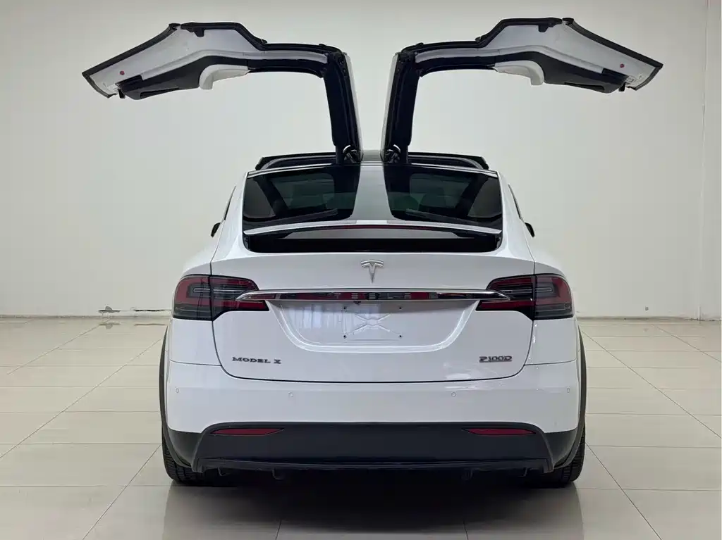 Tesla Model X 2016 — фото 5