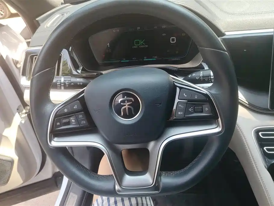 BYD PLUS New Energy 2022 — фото 15