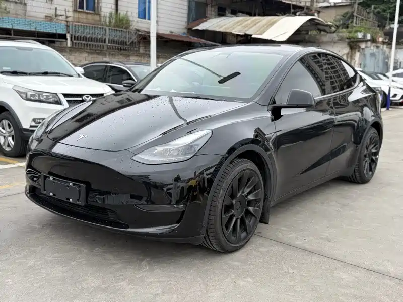 Tesla Model Y 2021 — фото 1