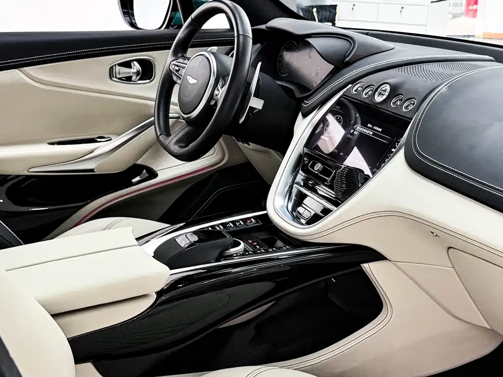 Aston Martin DBX 2023 — фото 13