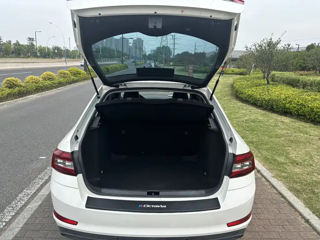 Skoda Octavia 2018 — фото 8