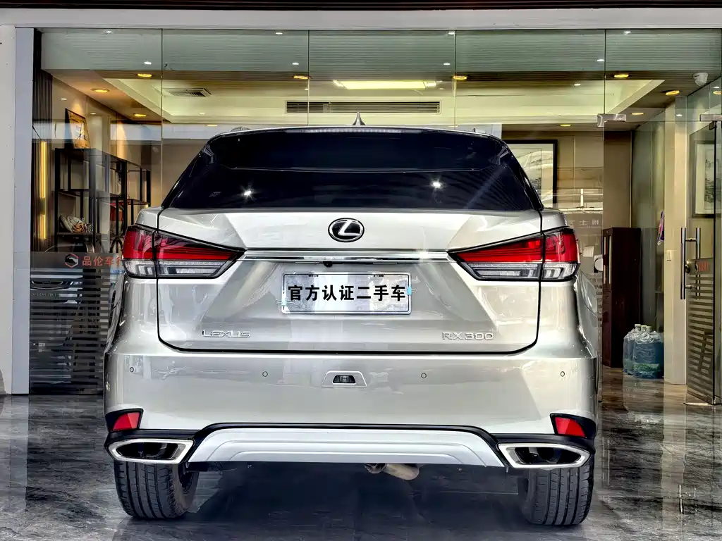 Lexus RX 2020 — фото 17